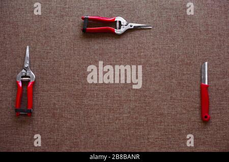 Forist desktop with working tools on dark canvas texture background. Stock Photo
