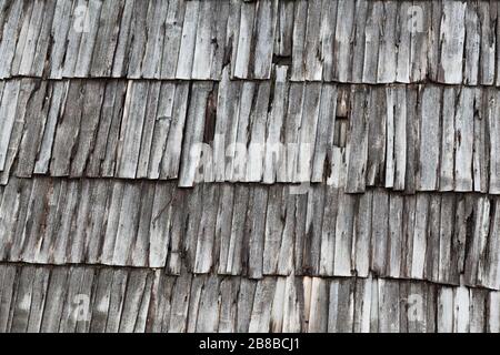 Roof covering from old low quality gray wooden boards overlapped and parallel fastens to hobnail and spike Stock Photo