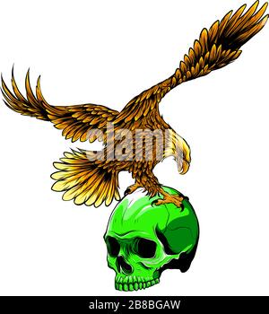 Vector illustration with hand drawn ornate eagle on human skull with rose flowers and grunge texture Stock Vector