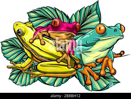 Various Frogs Cartoon Vector Illustration design art Stock Vector