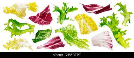 Mix of leaves with rucola, lettuce, radicchio, romano and green frize isolated on white background Stock Photo