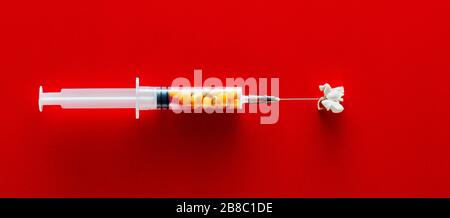 Popcorn grains in the syringe on red background. Genetic modification or making popcorn concept. Stock Photo
