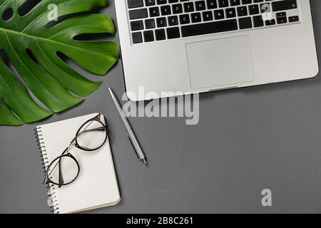 Template for blog social media. Workspace with laptop, pen, monstera leaves, eyeglasses and notebook on grey background minimal style. Flat lay, top v Stock Photo