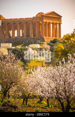 Temple of Concorde at the Valley of Temples near Agrigento, Sicily Stock Photo