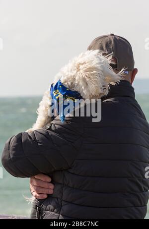 Bournemouth, Dorset UK. 21st March 2020. UK weather: windy and chilly morning, as visitors head to the seaside with most taking care to keep social distancing with the Coronavirus restrictions. Maltese terrier wearing NYPD dog bandana enjoys the sea air and wind blowing its hair! Credit: Carolyn Jenkins/Alamy Live News Stock Photo