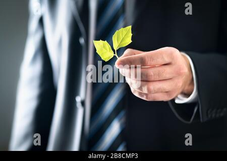 Environmental lawyer or politician with nature and environment friendly values. Business man in suit holding green leafs. Sustainable development. Stock Photo