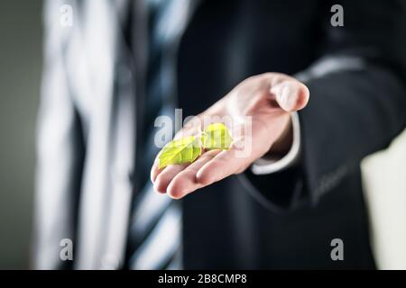 Business man holding green leaf on hand. Nature conservation, global warming, climate change and pollution concept. Eco friendly businessman. Stock Photo