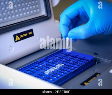 Loading a DNA tube into a PCR (polymerase chain reaction) thermocycler machine in a bioscience laboratory. Concept of science, laboratory and study of Stock Photo