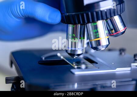 Scientific handling a light microscope examines a laboratory sample for pharmaceutical bioscience research. Concept of science, laboratory and study o Stock Photo