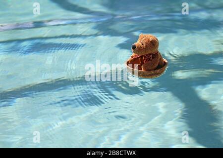A tiny child's teddy bear is floating, isolated in a homemade coconut boat in the water of a family swimming pool. Stock Photo