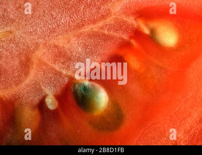 Creative, surprising macro image of tomato pulp. Abstract, fresh, fruity background with enhanced texture, fibers and seeds. Stock Photo