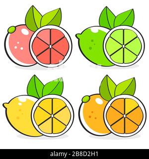 Collection Of Citrus Slices - Orange, Lemon, Lime And Grapefruit, Icons Set, Colorful Isolated On White Background, Vector Illustration. Stock Vector