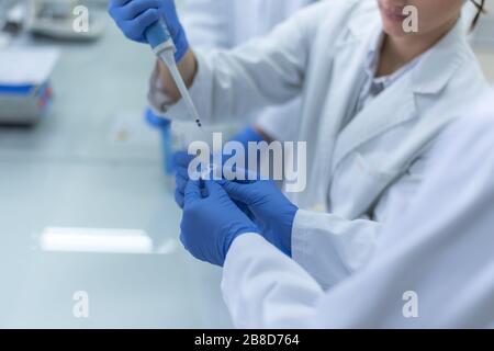 A group of scientists conducts research in a scientific laboratory using advanced technology. COVID-19. COVID Coronavirus Stock Photo