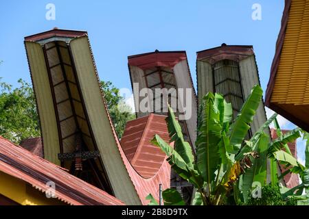 Tongkonan, an ancestral house in Tana Toraja, Sulawesi, Indonesia. Stock Photo