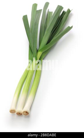 fresh green garlic, chinese sichuan cuisine ingredients isolated on white background Stock Photo