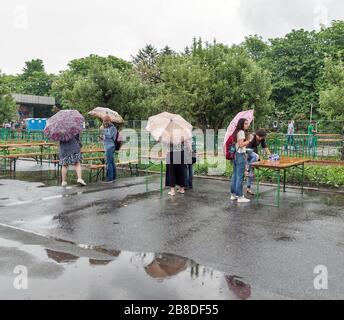 People visit the Exhibition of the Spring Festival in Beijing, China ...