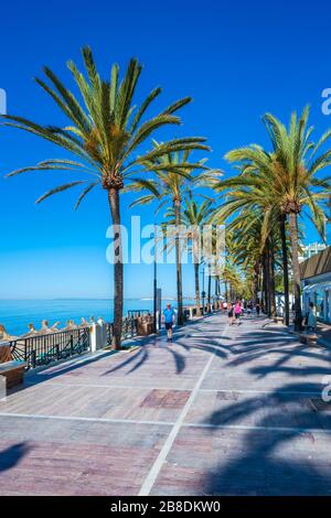 Paseo Maritimo seaside promenade, Marbella, Andalucia, Spain, Europe Stock Photo