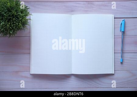 Stylish open notebook isolated on white, top view Stock Photo