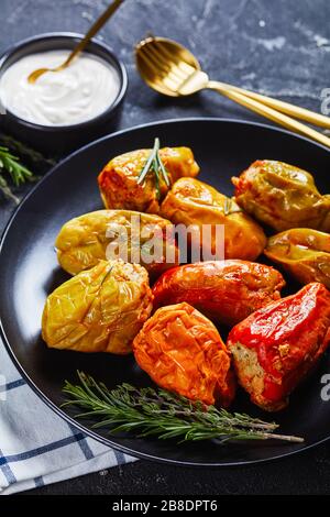 Close-up of stuffed bell peppers with rice, ground beef, and pork baked in tomato sauce, rosemary and thyme on a black plate with sour cream and gold Stock Photo