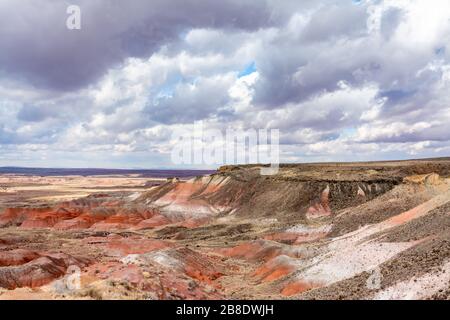 Painted Desert and petrified wood in the Petrified Forest National Park in Arizona Stock Photo