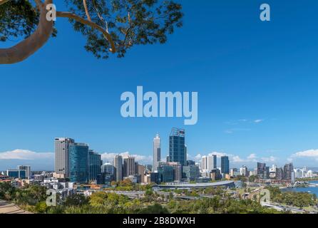 Perth skyline. View of the Central Business District skyline from King's Park, Perth, Australia Stock Photo