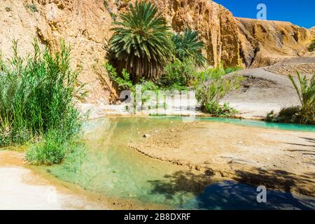 Mountain oasis. Stock Photo