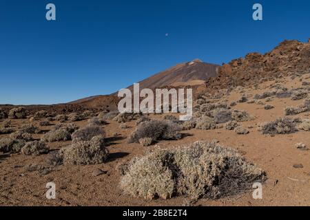 Martian landscape on the eastern slopes of Montana Blanca Mirador las Minas de San Jose with Teide mount at background. Teide National park, Tenerife, Stock Photo