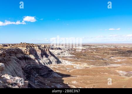 Painted Desert and petrified wood in the Petrified Forest National Park in Arizona Stock Photo