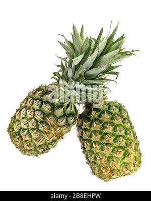 Two Pineapples Isolated on White Background. Pineapple tropical fruit or ananas isolated on white background cutout. Stock Photo