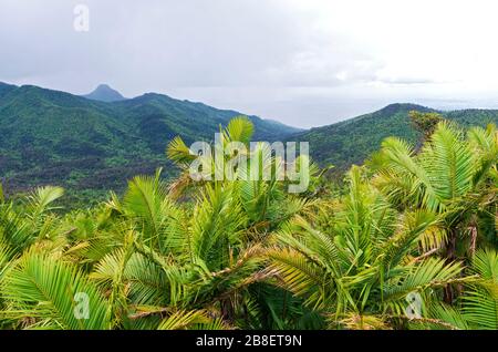 mountain peaks and valleys of el yunque national forest in puerto rico Stock Photo