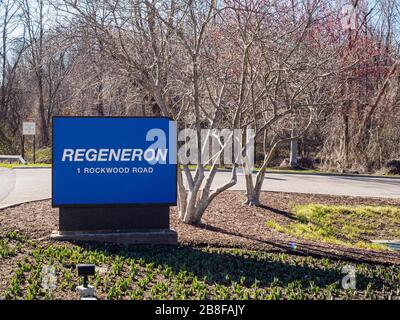 Tarrytown, NY - 21 March 2020 - Entrance to Regeneron Pharmaceuticals, a biotech company involved with a cocktail therapy of monoclonal antibodies to Covid-19 and other biologic drugs, Tarrytown, New York. Regeneron  is also working with Sanofi on other biologic drugs. Stock Photo