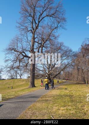 Tarrytown, NY - 21 March 2020: On the first day of spring, New Yorkers hike in Rockefeller State Park as cases of coronavirus top 10,300 in the state. Although NY Governor Andrew Cuomo has ordered all but workers in essential services such as healthcare and groceries to work from home, and to stay home except when necessary, he has also encouraged people to exercise outdoors, noting this means hiking, running, not playing basketball with groups of people. With fewer vehicles on the road, the sky, and therefore the Hudson River, are a beautiful blue. Stock Photo