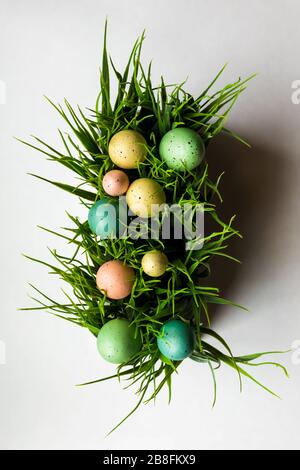 Pastel colored Easter eggs in green grass decorative planter display isolated on a white background top down Stock Photo