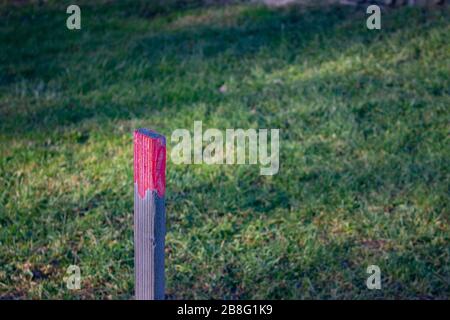 Wooden stake with red painted top standing in the grass, focus on pole Stock Photo