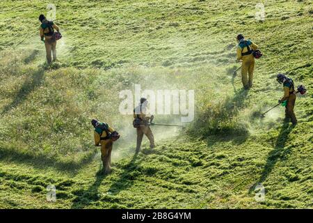 Green discount field mower