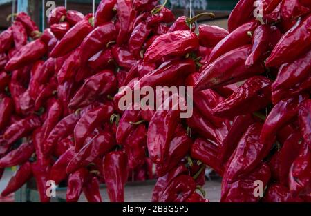 Red peppers on strings Stock Photo