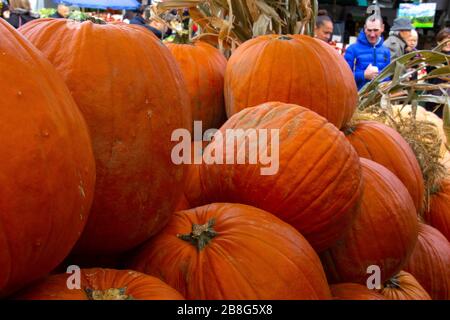 Large pumpkins for sale Stock Photo