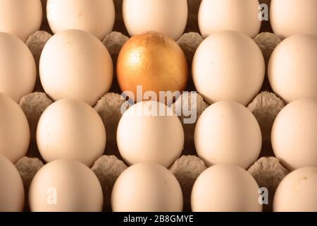golden egg Stock Photo