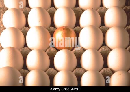 golden egg Stock Photo