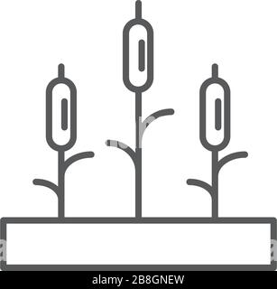 Reeds plant vector icon isolated on white background Stock Vector