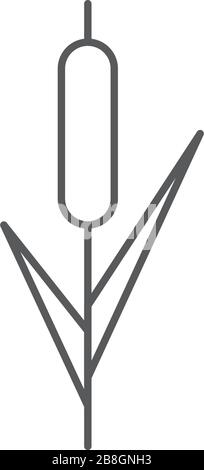 Reeds plant vector icon isolated on white background Stock Vector