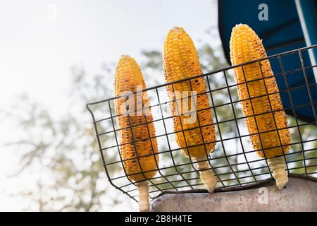 three fried ears of corn against the sky. bottom view. Stock Photo