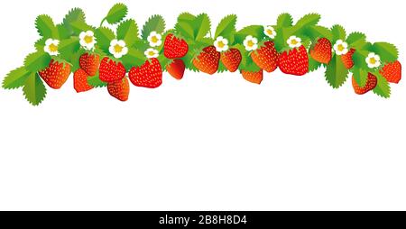 Strawberries in a row - vector illustration Stock Vector