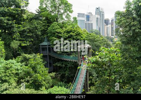 KL forest eco park view Stock Photo