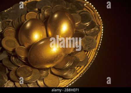 Golden eggs,three golden eggs in a nest. Savings / Wealth / Success concept shot.related images with golden objects: Stock Photo