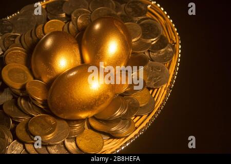 Golden eggs,three golden eggs in a nest. Savings / Wealth / Success concept shot.related images with golden objects: Stock Photo