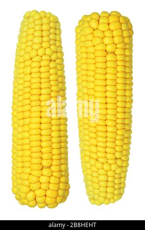 Cooked corn cob sweetcorn isolated on white background Stock Photo