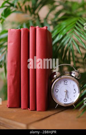 Scarlet photo albums stnding near clock and houseplant on table. Stock Photo