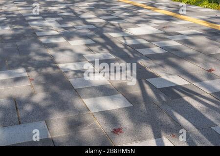 Shadow of leaves on the floor Stock Photo