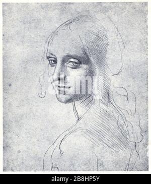 Speed Draw Leonardo's Study of the Angel's Head [Outline] by LZM Studio -  LZM Studio
